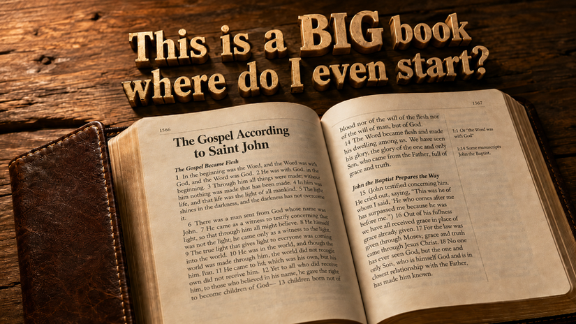 How do I read the bible?